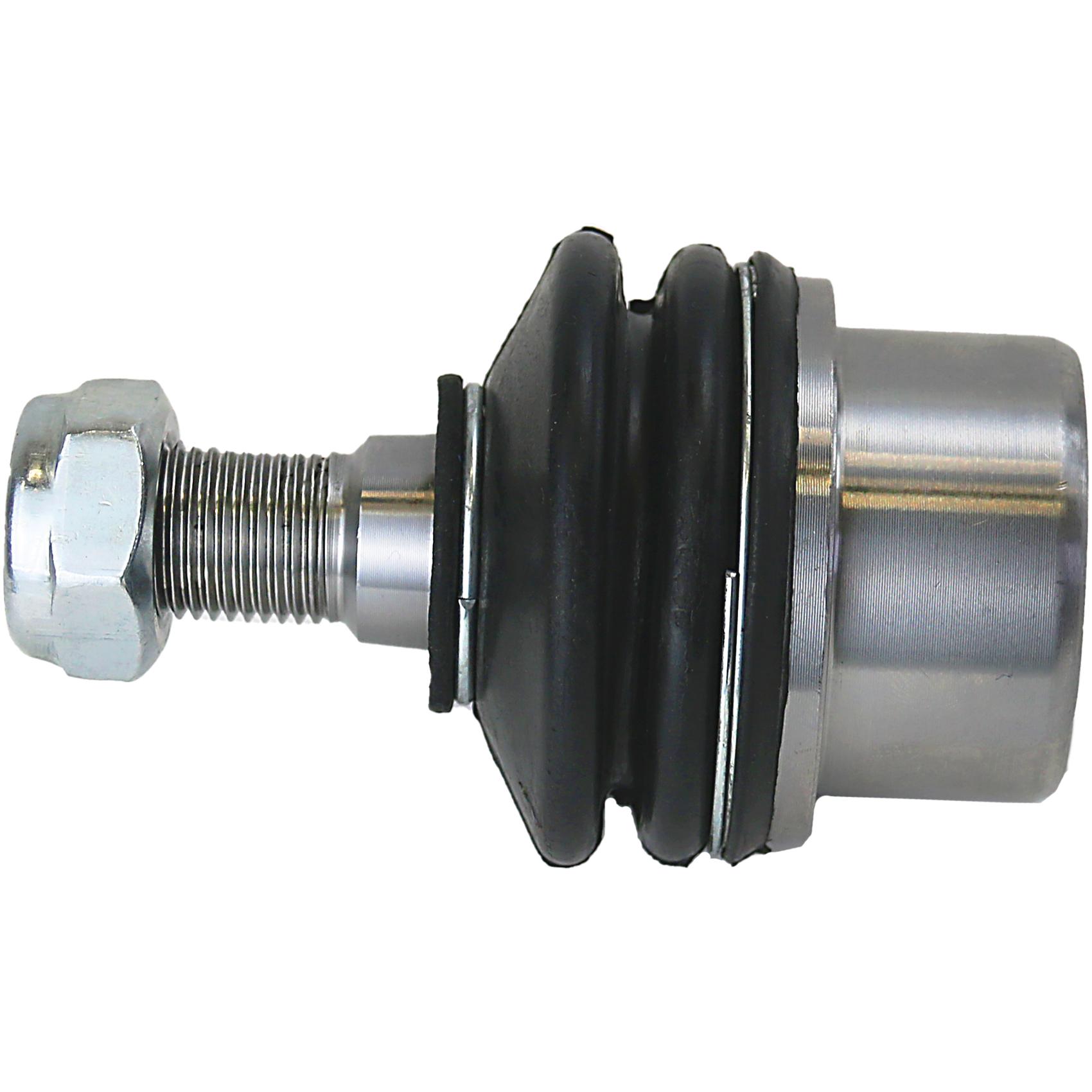 Jg Pivo - Perfect - KPV8302