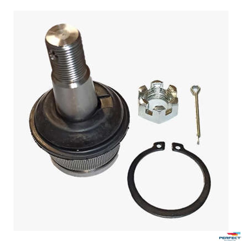Pivo Suspensão para Ford Explorer e Ranger - Perfect - PVI8561