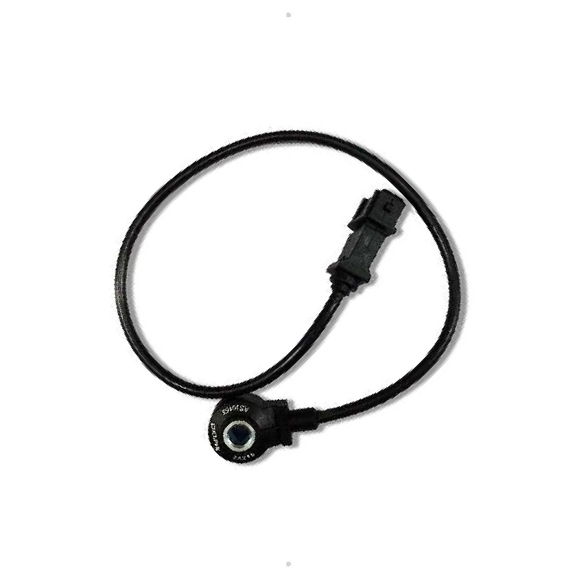 Sensor de Detonação para Volkswagen Gol e Parati - Delphi - AS10155