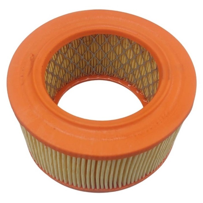 Filtro de Ar para Volkswagen Fusca - Delphi - EFA623