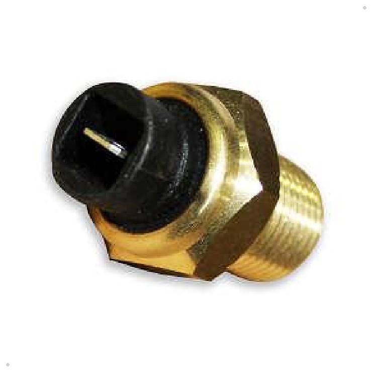 Sensor de Temperatura da Água - Delphi - WC10078