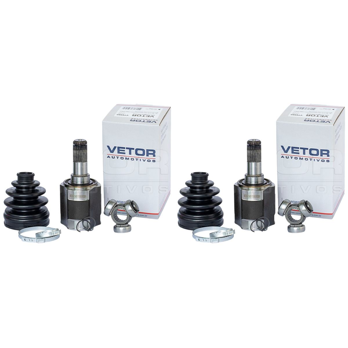 Par tulipa - Vetor - VT5950