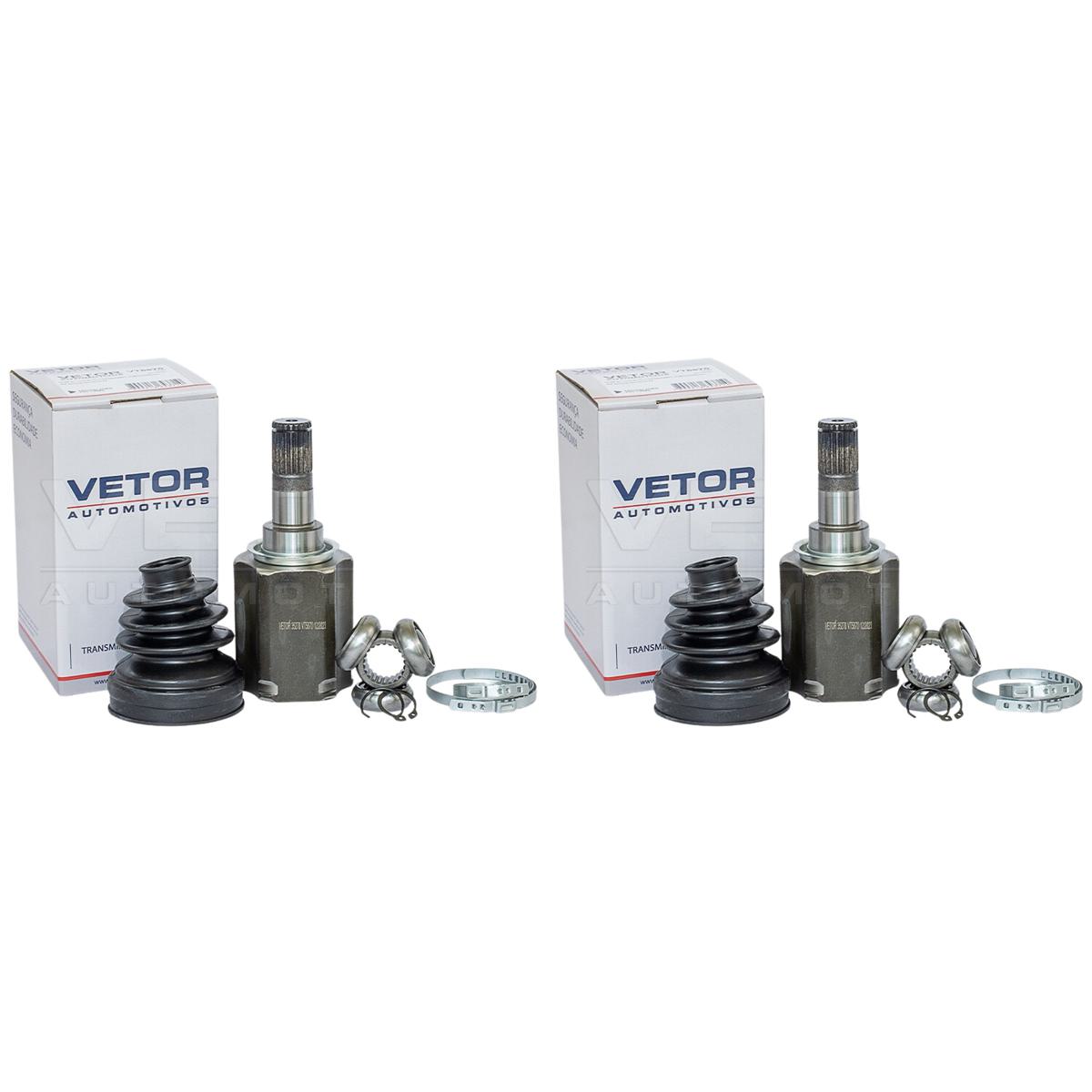 Par tulipa - Vetor - VT5870
