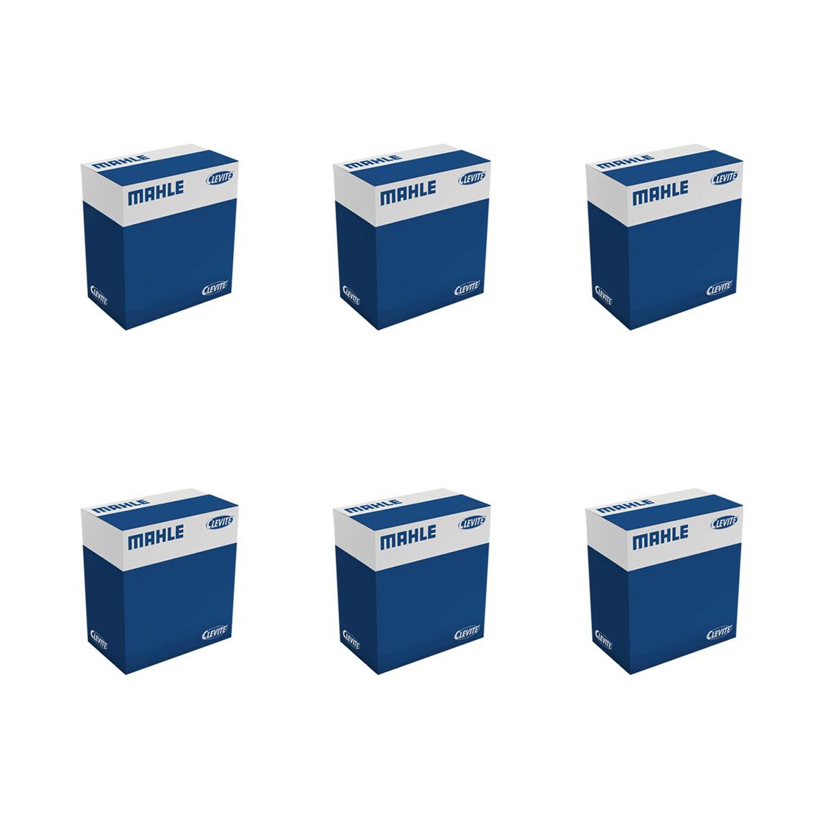 Jogo com 6 Pistões com Anéis STD - Mahle Clevite - S21180 STD