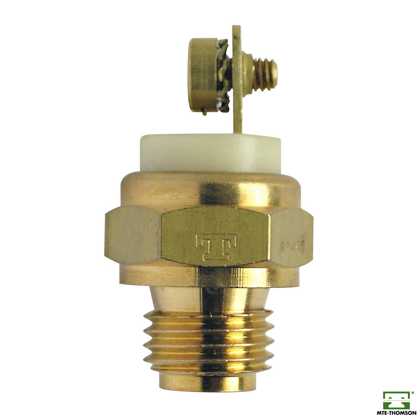 Interruptor Térmico do Radiador - MTE - 3066