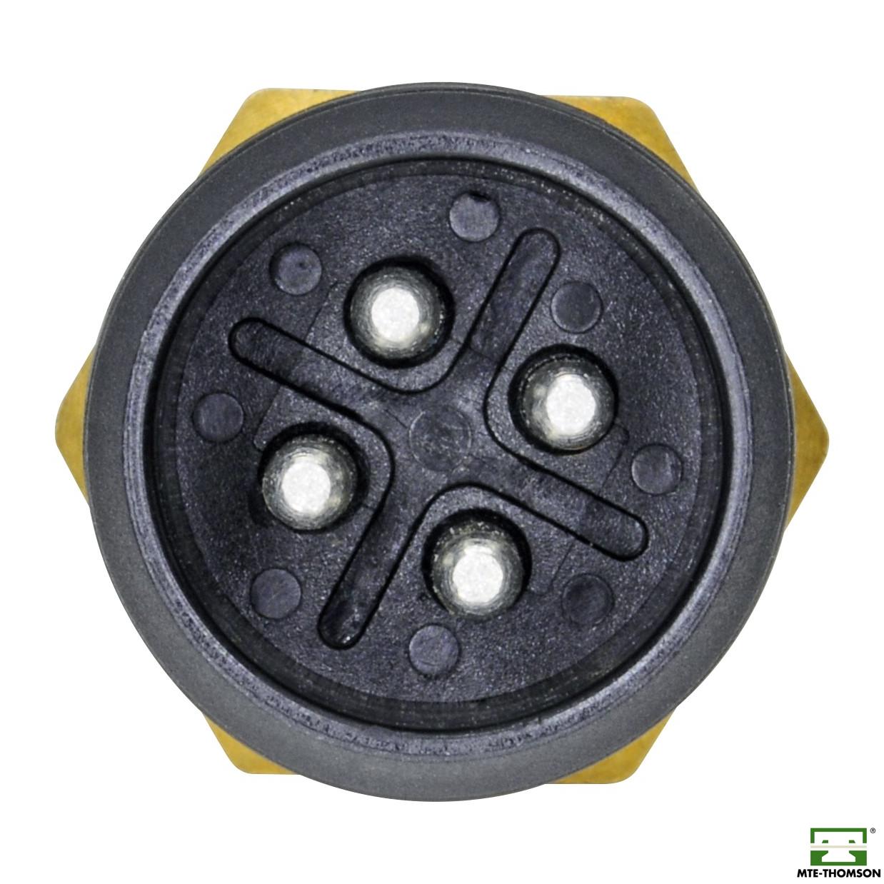 Sensor de Temperatura da Água - MTE - 4003