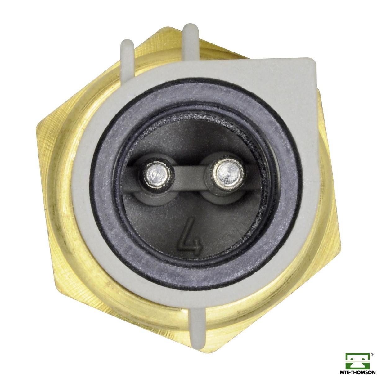 Sensor de Temperatura da Água - MTE - 4041