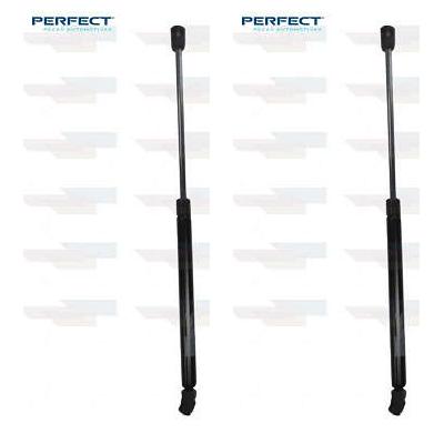 Par de Amortecedor Mola a Gás Traseiro da Tampa Traseira - Perfect - APM05961