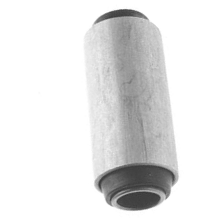 Bucha do Jumelo e Feixe de Molas Traseiro para Ford F-1000 - Monroe Axios - 120090