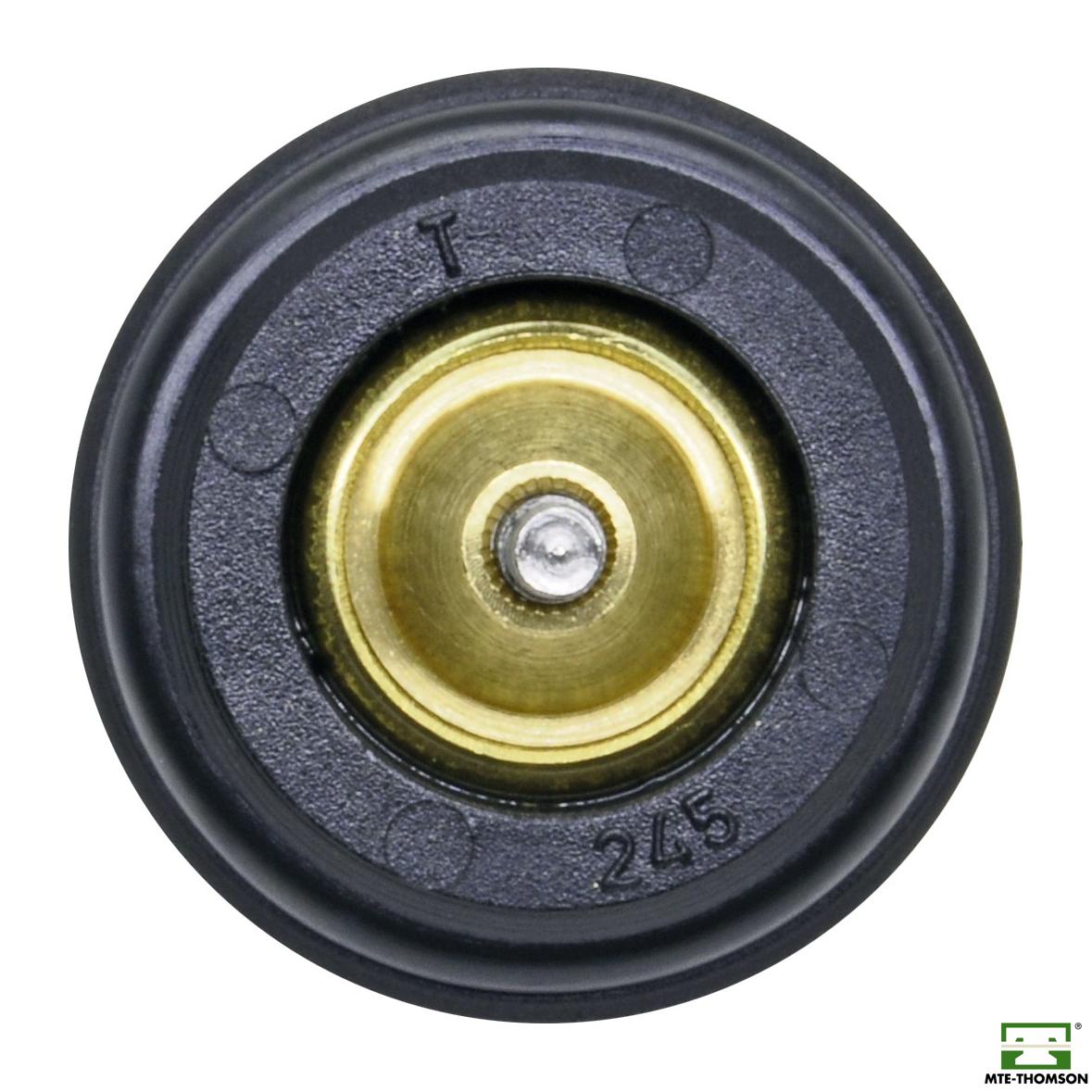 Válvula Termostática - Série Ouro - MTE - VT245.80
