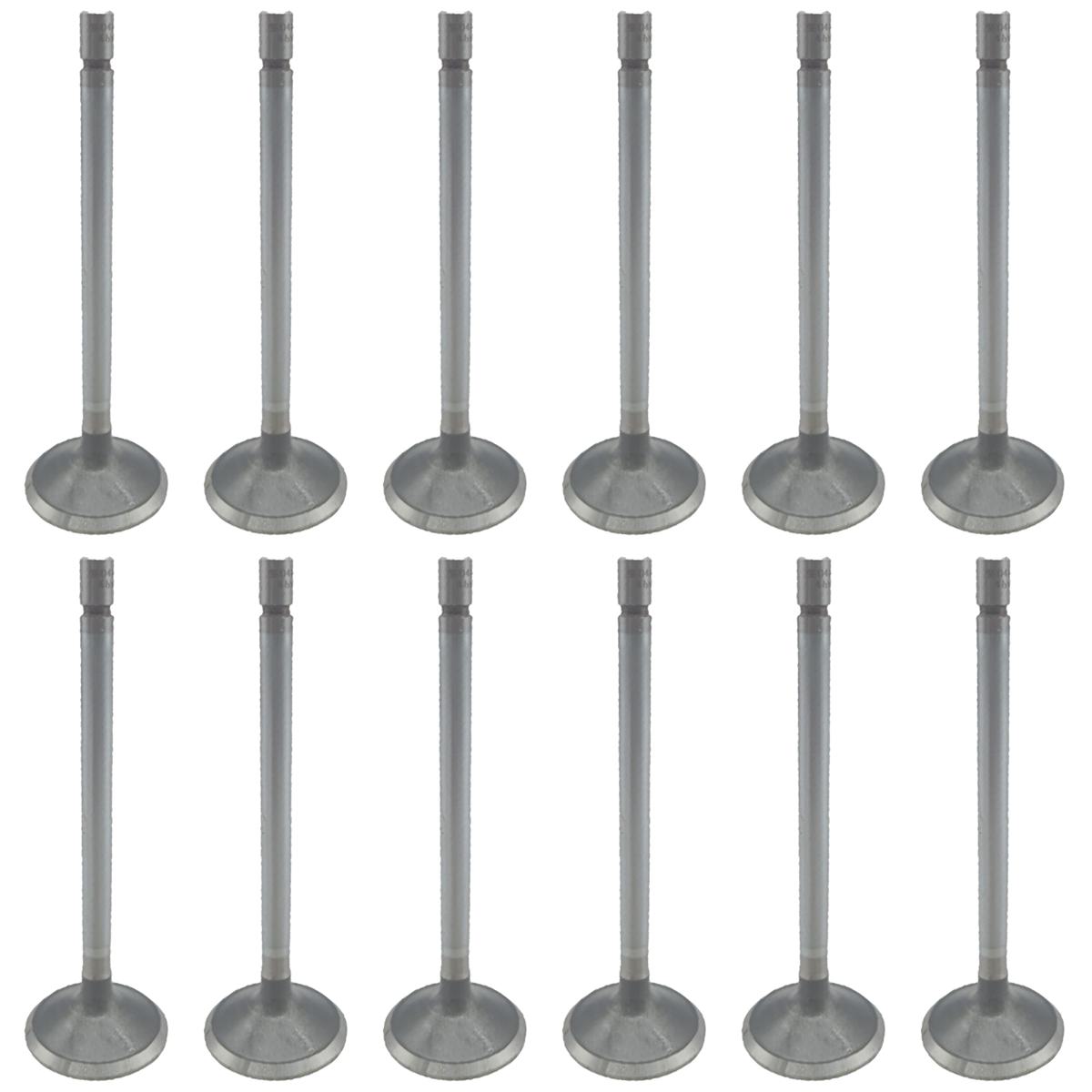 Jogo com 12 Válvulas de Admissão - KS PIERBURG - 50017042