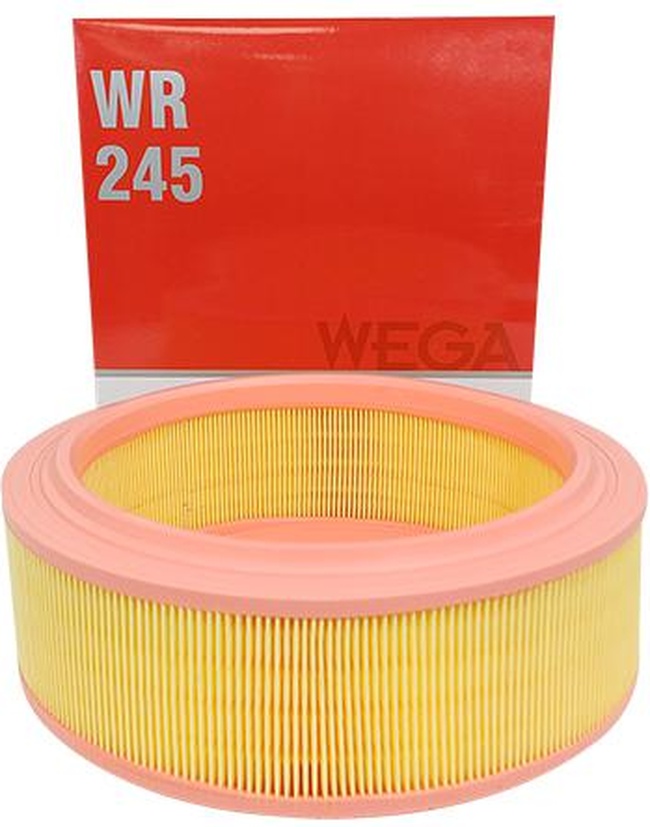 Filtro de Ar do Motor - Wega - WR-245