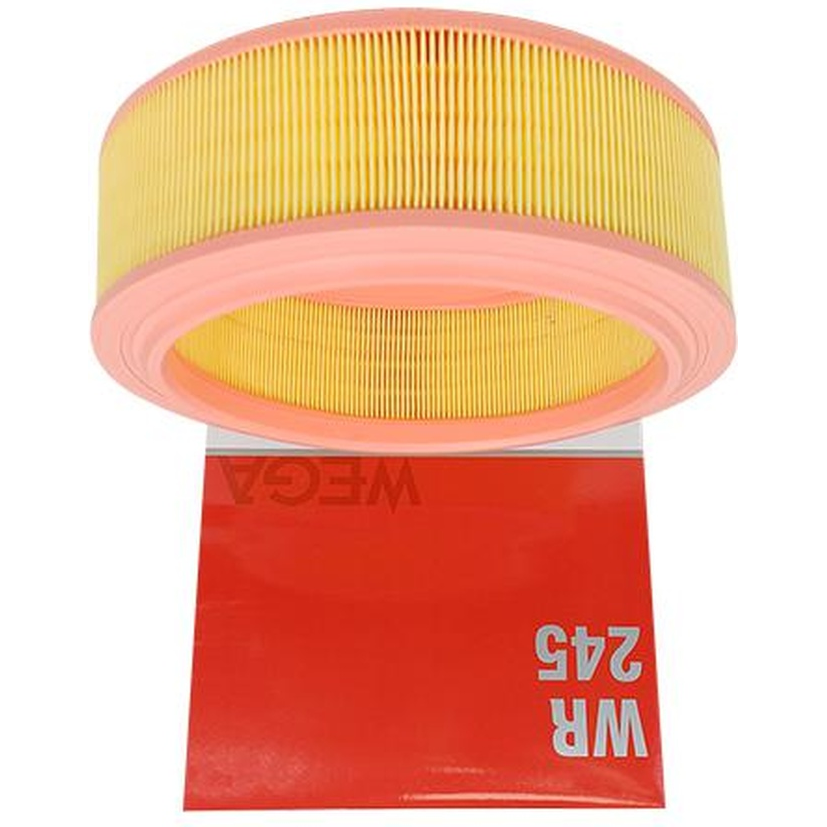 Filtro de Ar do Motor - Wega - WR-245