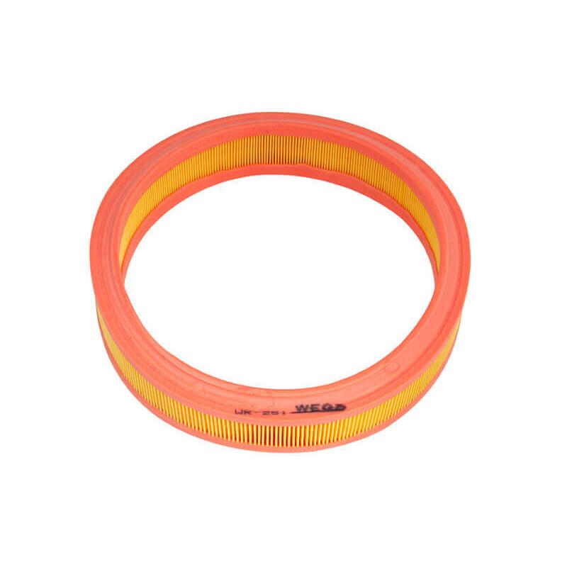 Filtro de Ar para Ford Fiesta - Wega - WR-251