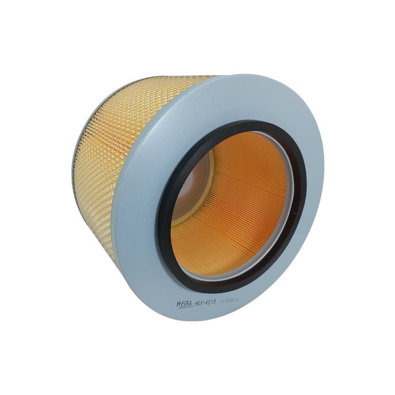 FIltro de Ar Condicionado Cabine - Wega - AKX-4519