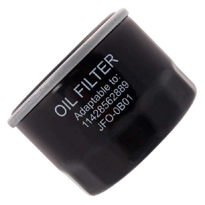 Filtro Blindado de Óleo Lubrificante para BMW G 310 GS e G 310 R - Wega - JFO-0B01