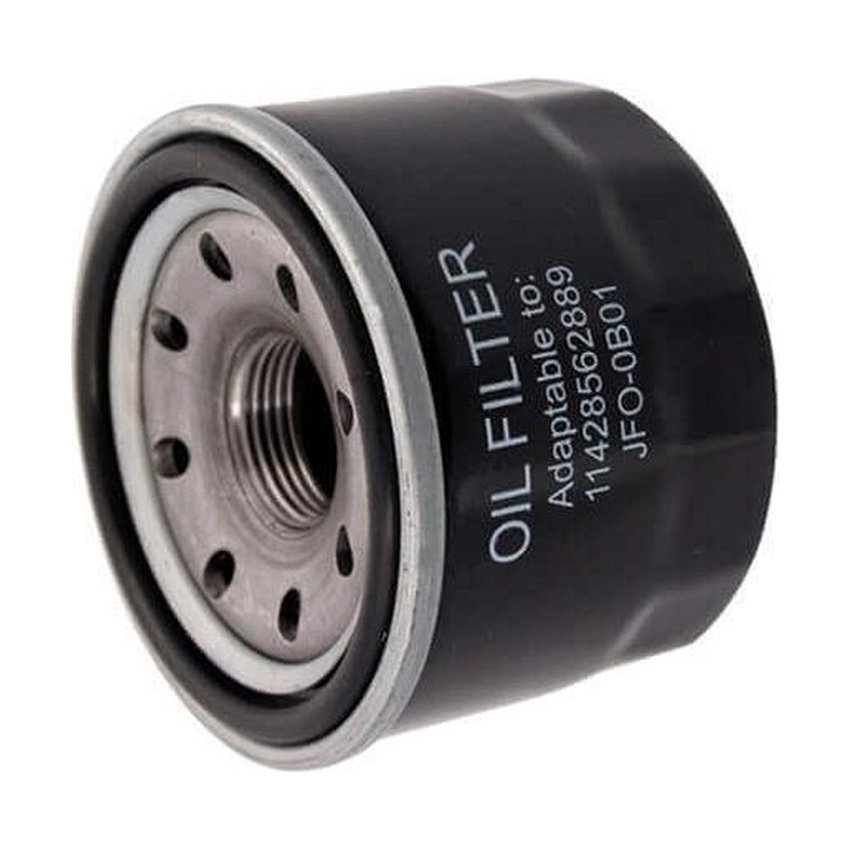 Filtro Blindado de Óleo Lubrificante para BMW G 310 GS e G 310 R - Wega - JFO-0B01