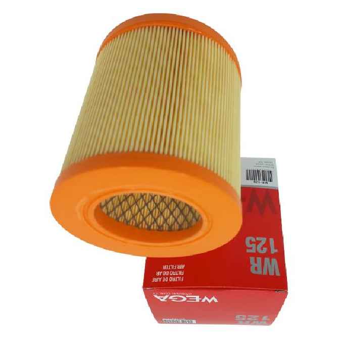 Filtro de Ar para JAC E-JT12,5 e Iev1200T - Wega - WR-125