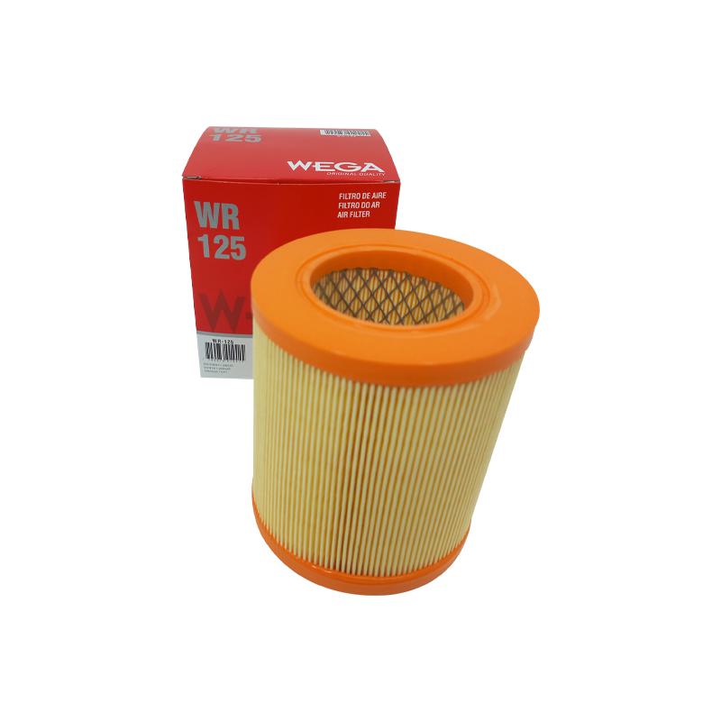 Filtro de Ar para JAC E-JT12,5 e Iev1200T - Wega - WR-125