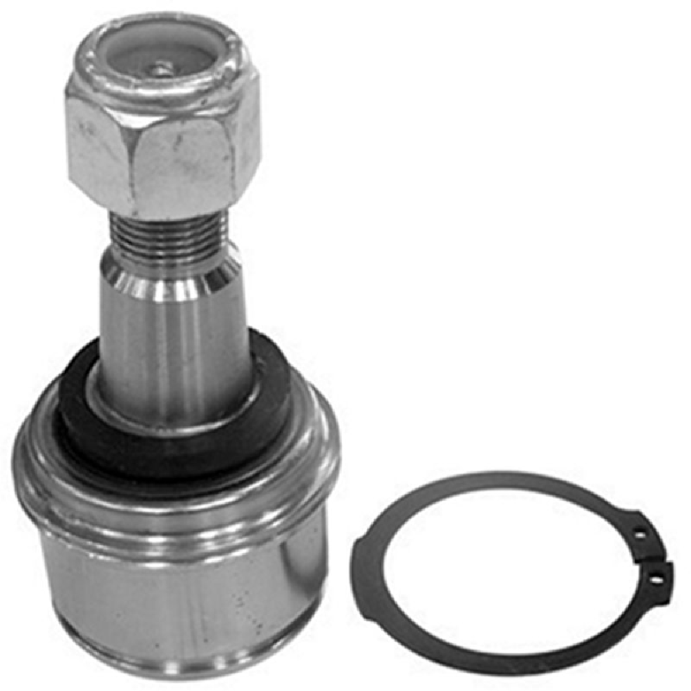 Pivô da Suspensão para Ford F-250 - Amortex - 53044