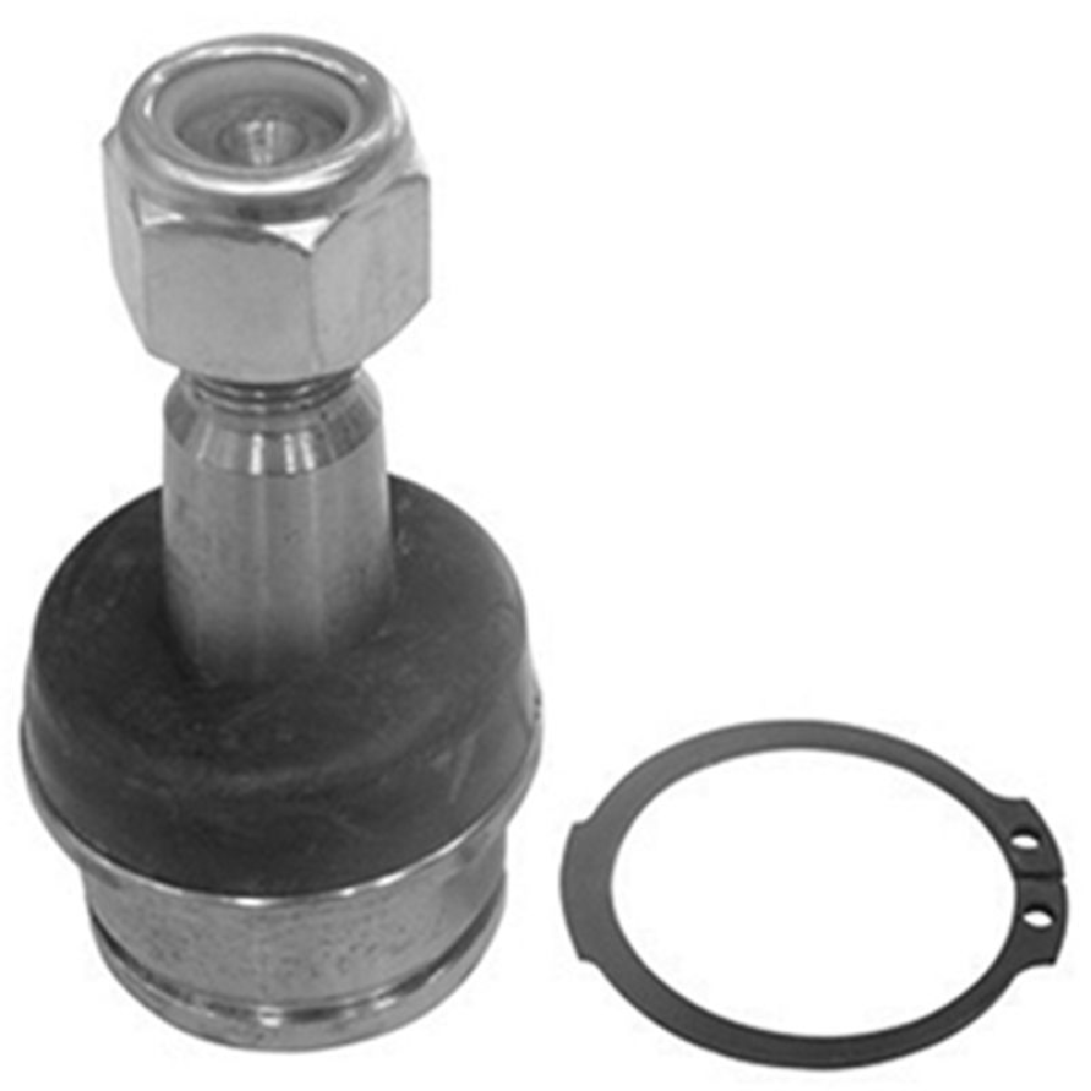 Pivô da Suspensão para Ford Explorer e Ranger - Amortex - 53067