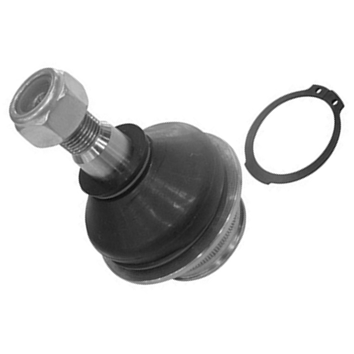 Pivô da Suspensão para Ford Explorer e Ranger - Amortex - 53180