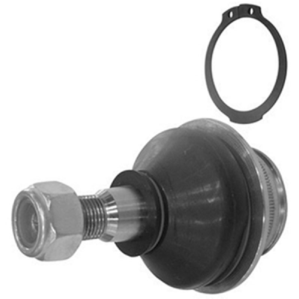 Pivô da Suspensão para Ford Explorer e Ranger - Amortex - 53180