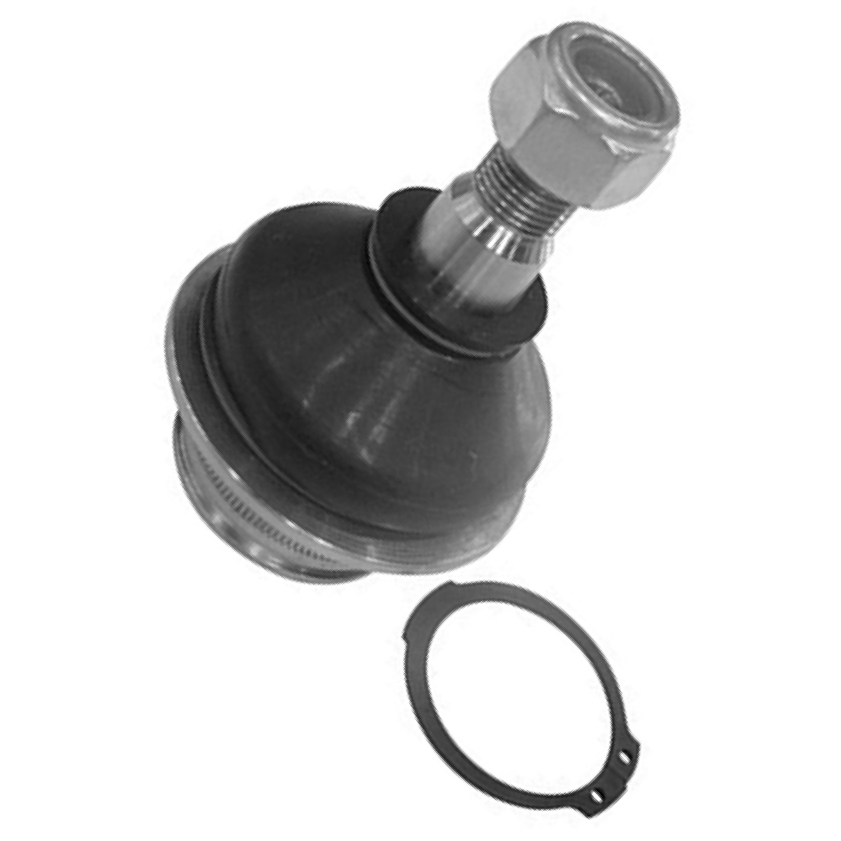 Pivô da Suspensão para Ford Explorer e Ranger - Amortex - 53180