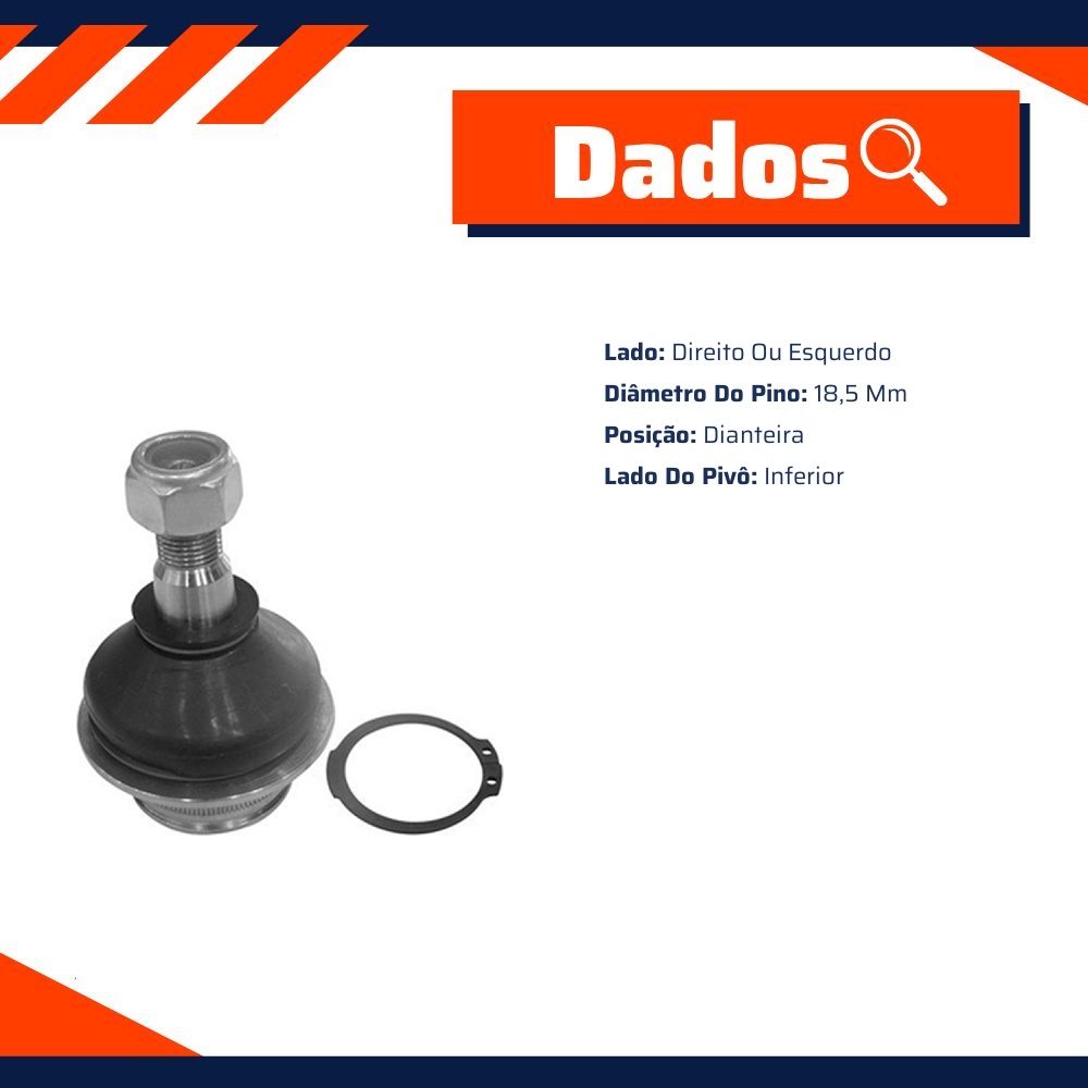 Pivô da Suspensão para Ford Explorer e Ranger - Amortex - 53180