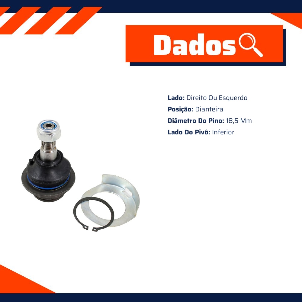 Pivô da Suspensão para Ford Transit - Amortex - 53232