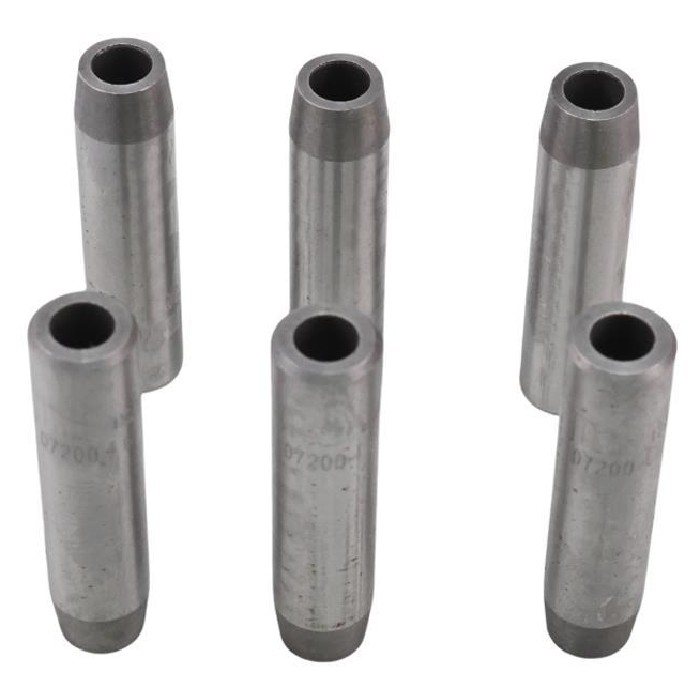 Jogo de Guias de Válvula Comum de Admissão e Escape STD para ASIA Towner - Mahle Metal Leve - GC0720046 STD
