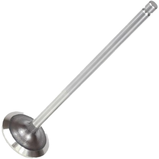 Kit 2 Válvula de Admissão - Mahle Metal Leve - VA0110232 STD