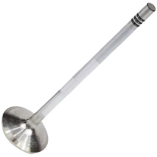 Kit 2 Válvula de Admissão - Mahle Metal Leve - VA0461693 STD