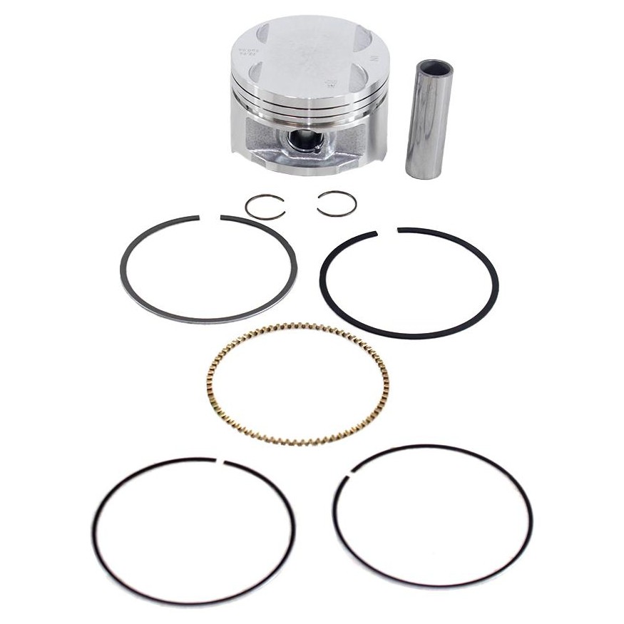 Pistão com Anéis 0,25 para Honda CBX 250 Twister e XR 250 TORNADO - Mahle Metal Leve - P&A9201 0,25