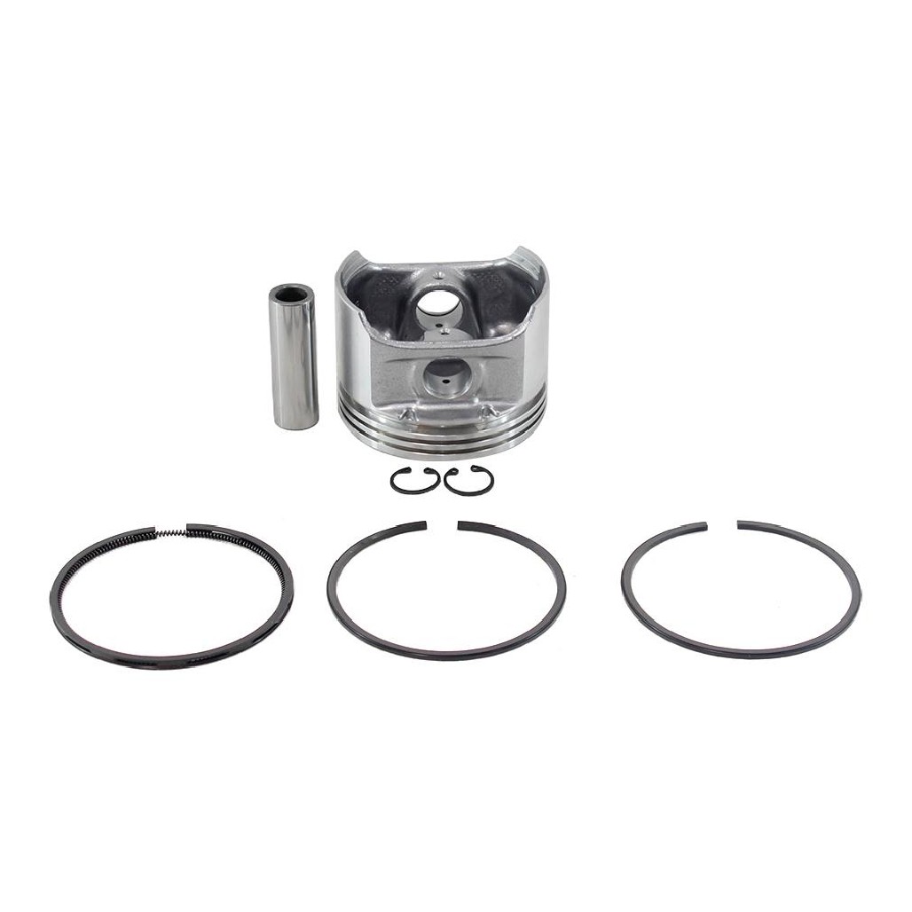 Pistão Com Anéis Std - Mahle Metal Leve - P&A9646 STD