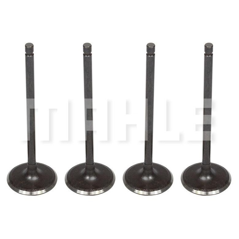 Kit 4 Válvula de Admissão para Renault Fluence - Mahle Metal Leve - VA0031604 STD