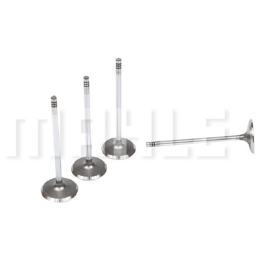 Kit 4 Válvula de Admissão para Fiat Siena - Mahle Metal Leve - VA0251633 STD