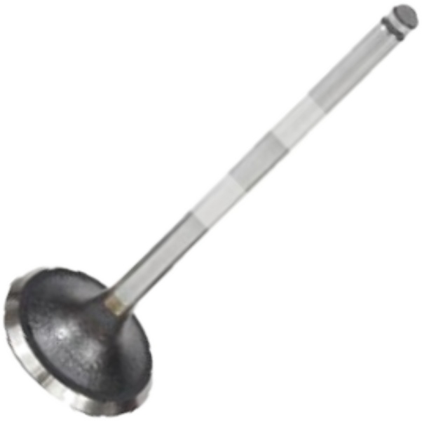 Kit 4 Válvula de Admissão para Peugeot 306 e 306 Break - Mahle Metal Leve - VA0440561 STD