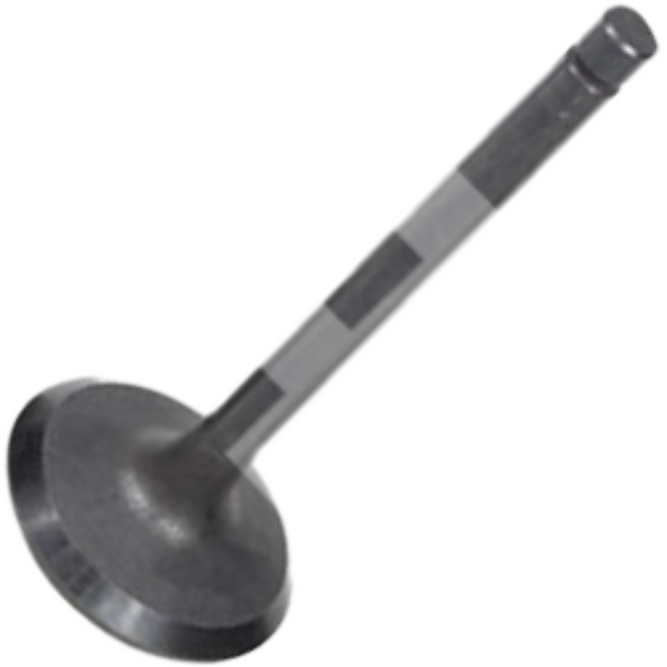 Jogo de Válvulas de Admissão Std - Mahle Metal Leve - VA0630240 STD