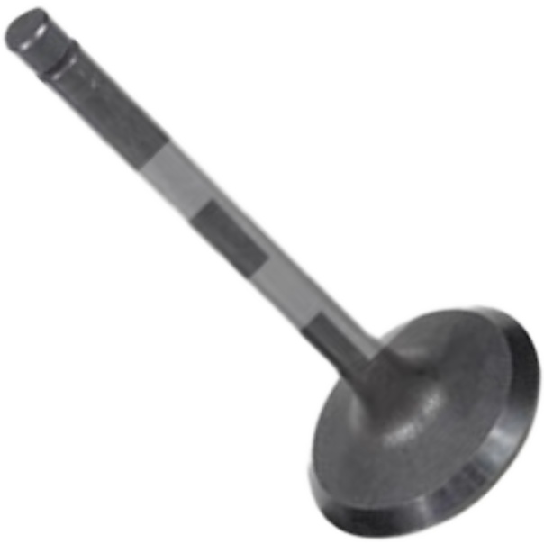 Jogo de Válvulas de Admissão Std - Mahle Metal Leve - VA0630240 STD