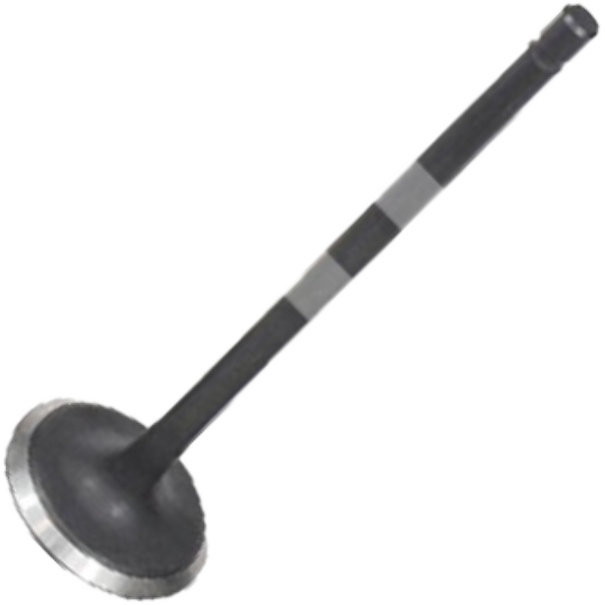 Kit 4 Válvula de Admissão para Toyota Corolla - Mahle Metal Leve - VA0631550 STD