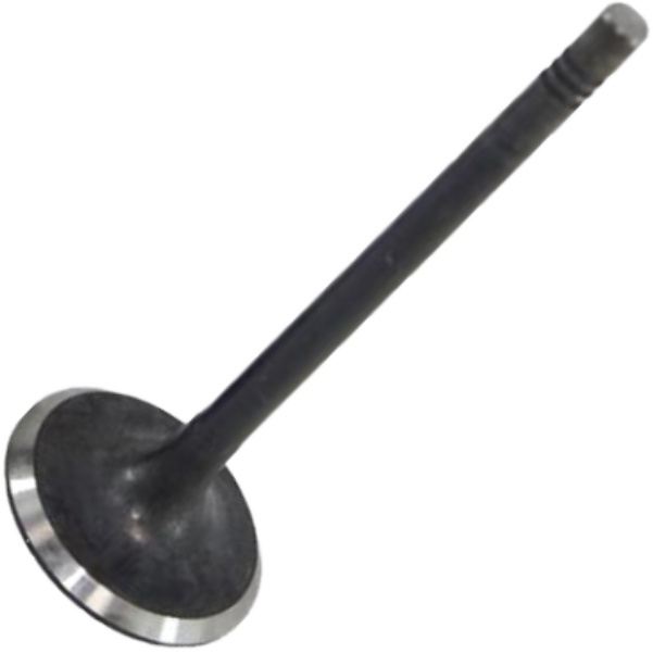 Kit 4 Válvula de Admissão - Mahle Metal Leve - VA0700267 STD