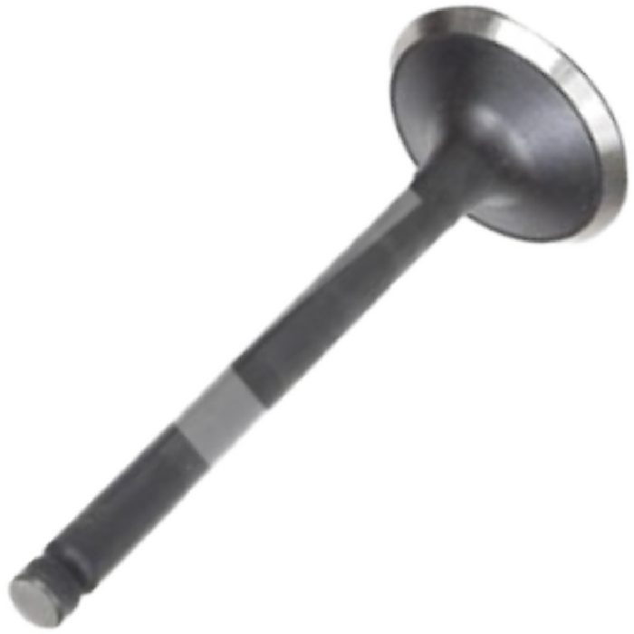 Kit 4 Válvula de Admissão para KIA Besta e Bongo - Mahle Metal Leve - VA2110185 STD