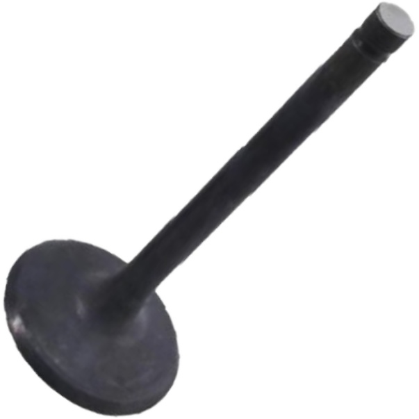 Kit 4 Válvula de Admissão para KIA Besta - Mahle Metal Leve - VA2110187 STD