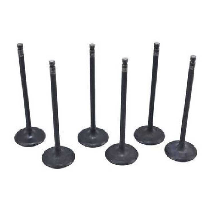 Kit 6 Válvula de Admissão para Nissan March e Versa - Mahle Metal Leve - VA0031760 STD