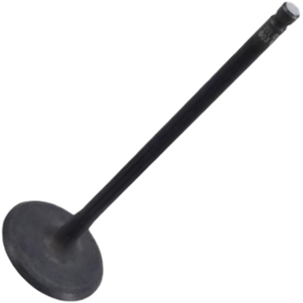 Kit 6 Válvula de Admissão para Nissan March e Versa - Mahle Metal Leve - VA0031761 STD