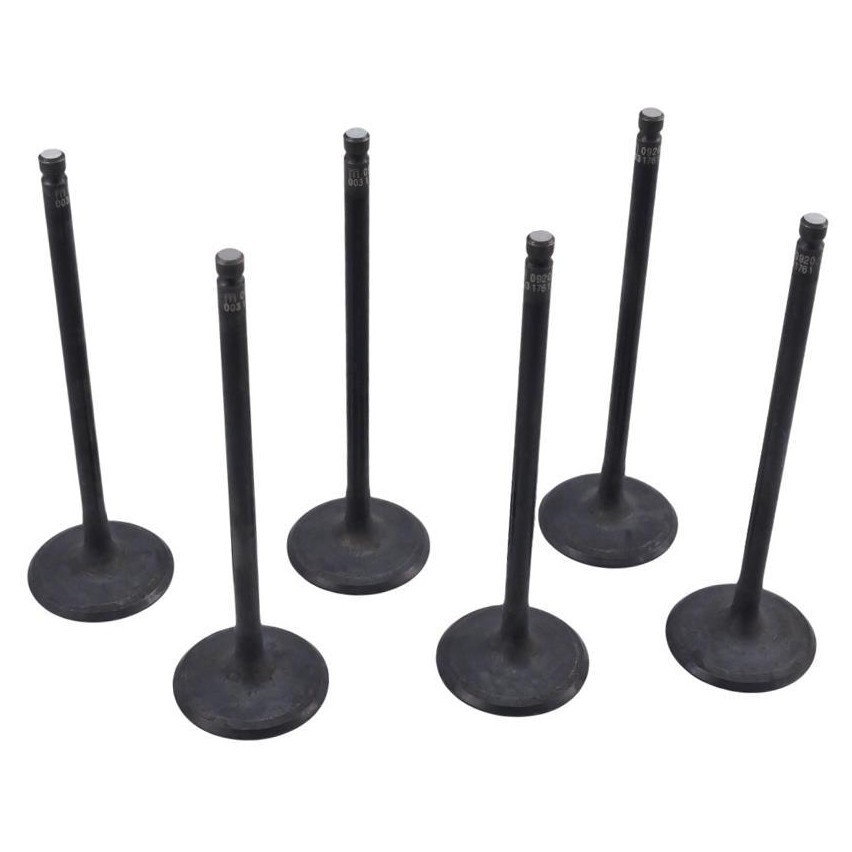 Kit 6 Válvula de Admissão para Nissan March e Versa - Mahle Metal Leve - VA0031761 STD