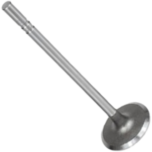 Kit 6 Válvula de Admissão para Chevrolet C-10 e GMC 6500 - Mahle Metal Leve - VA0140106 STD