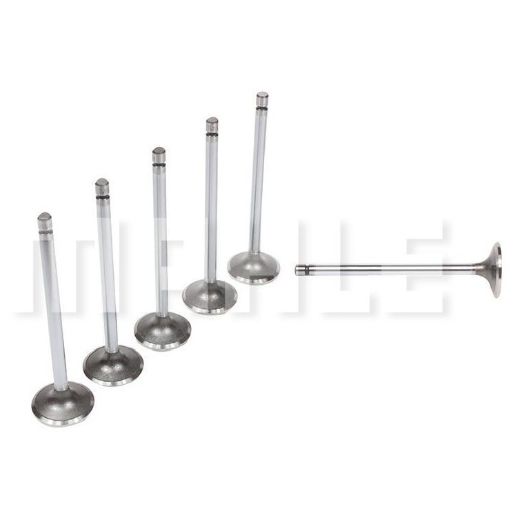Kit 6 Válvula de Admissão - Mahle Metal Leve - VA0211371 STD