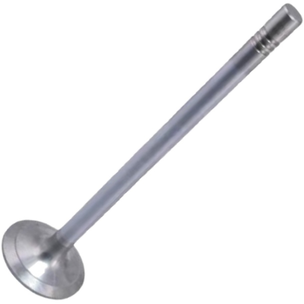 Kit 6 Válvula de Admissão - Mahle Metal Leve - VA0461734 STD